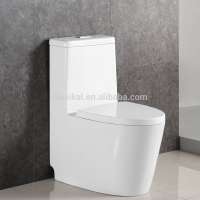 BL0132N China Waimaotong supplier cupc USA standard one piece toilet bowl ceramic